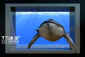 海底世界裸眼3D視頻模板