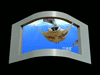 魔鬼魚裸眼3D視頻模板